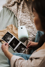 Carregar imagem no visualizador da galeria, Teddy com comando