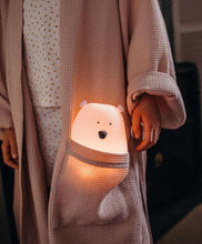 Load image into Gallery viewer, Teddy