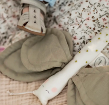 Carregar imagem no visualizador da galeria, Borboleta Sensorial Chá Verde