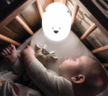 Load image into Gallery viewer, Teddy