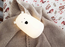 Load image into Gallery viewer, Teddy