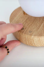 Load image into Gallery viewer, Papagaio-do-mar