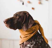 Load image into Gallery viewer, Musselina Flor mostarda 70x70cm
